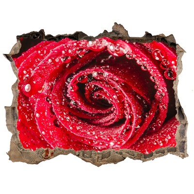 Wandtattoos Loch Rose mit Wassertropfen