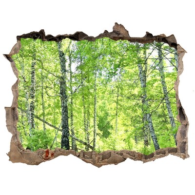 3D Wandsticker Loch Grüner Wald im Sonnenlicht