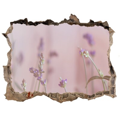 3D Wandsticker Loch Blumenwiese hinter der Mauer