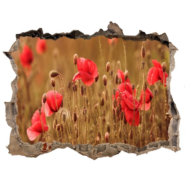 3D Wandtattoos Loch in der Wand Blumen zwischen der zerstörten Mauer