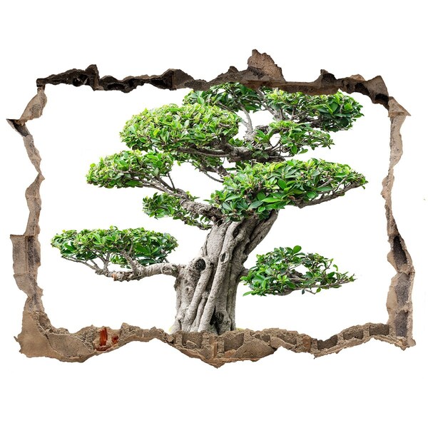 3D Wandtattoos Loch in der Wand Bonsai in einem Loch in der Wand