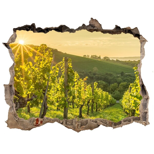 3D Wandsticker Loch Weinberge in der Sonne