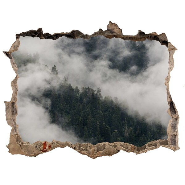 Wandtattoos Loch Grünes Tal in den Wolken