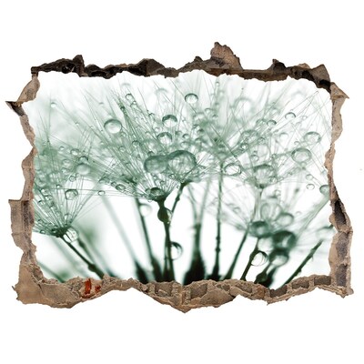 Wandfolien Loch in der Wand Ein floraler Traum hinter der Mauer