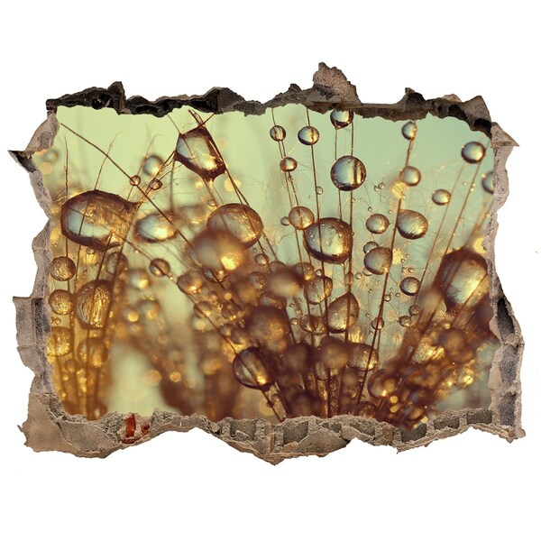 3D Wandtattoos Loch in der Wand Tropfen auf empfindlichem Haar