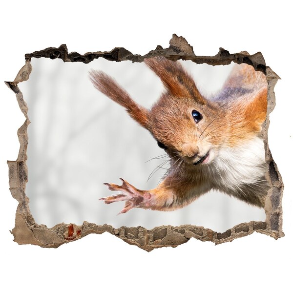 Wandtattoos Loch Eichhörnchen in Aktion