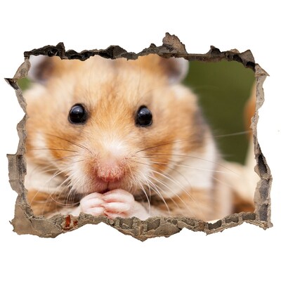 Wandtattoos Mauerdurchbruch Hamster in einem durchsichtigen Loch in der Wand