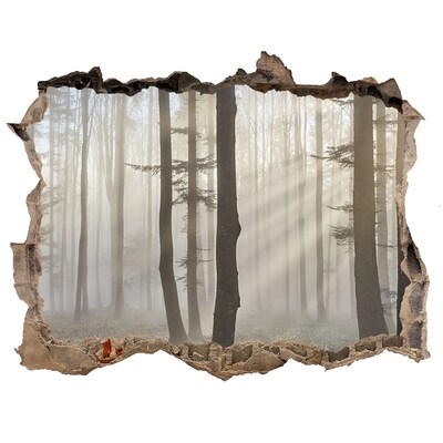 3D Wandtattoos Loch in der Wand Nebeliger Wald im Morgenlicht