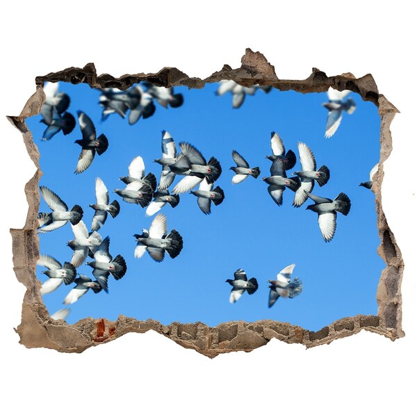 Wandfolien Loch in der Wand Vögel fliegen durch ein Loch in der Wand
