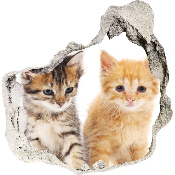3D Wandtattoos Mauerdurchbruch Katzenfreunde hinter dem Loch
