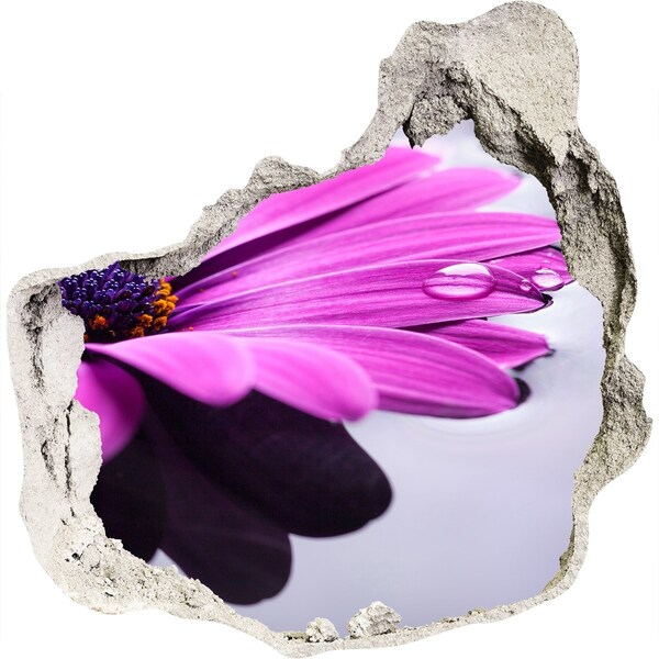 Wandaufkleber Loch 3D Eine blühende Oase hinter der Mauer