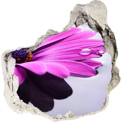 Wandaufkleber Loch 3D Eine blühende Oase hinter der Mauer