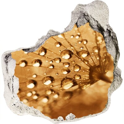 Wandaufkleber Loch 3D Tropfen auf einem Blatt