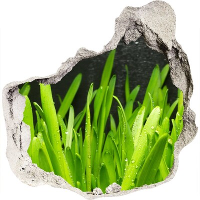 3D Wandtattoos Mauerdurchbruch Grünes Paradies hinter der Mauer