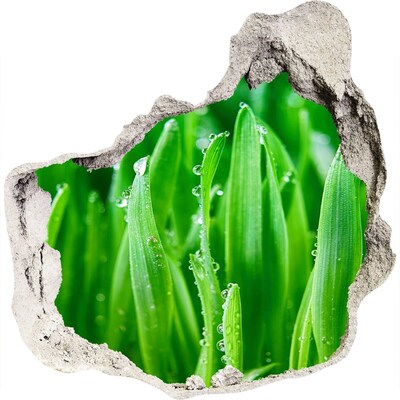 Wandaufkleber Loch 3D Grüne Wiese mit Wassertropfen