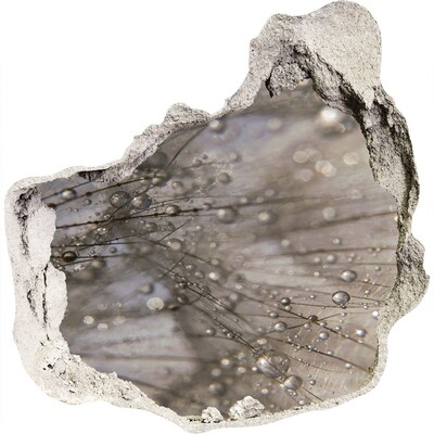 3D Wanddurchbruch Aufkleber Wassertropfen auf Glas