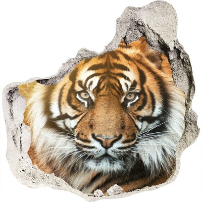 3D Wandtattoos Mauerdurchbruch Tiger in einem Loch in der Wand