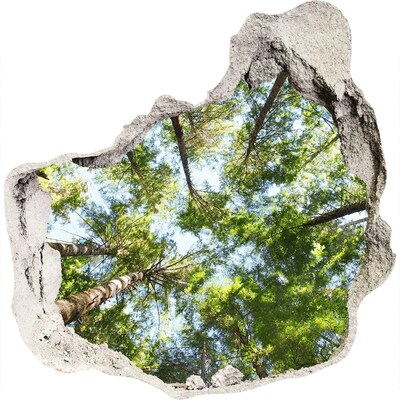 Wandfolien Loch in der Wand Blick auf den Wald bei blauem Himmel