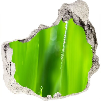 Mauerdurchbruch Aufkleber Grüne Wiese mit Wassertropfen
