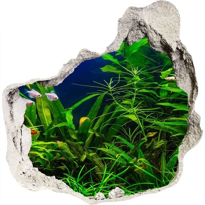 Wandaufkleber Loch 3D Die Unterwasserwelt im Aquarium