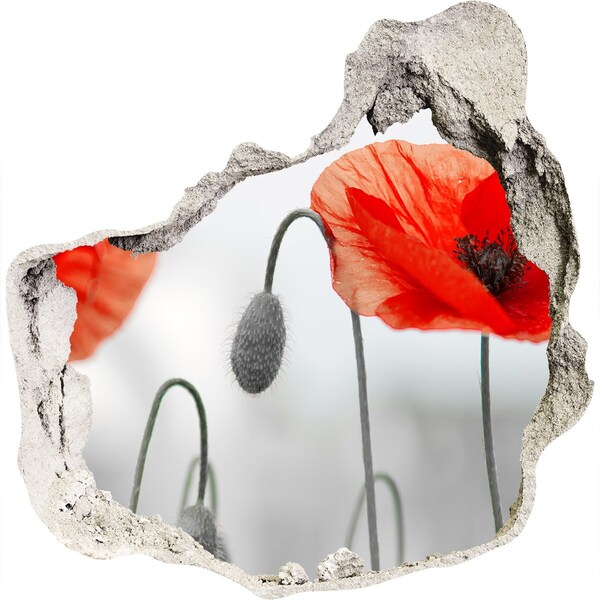 Wandtattoos Loch in der Wand Blumen in einem Loch in der Wand