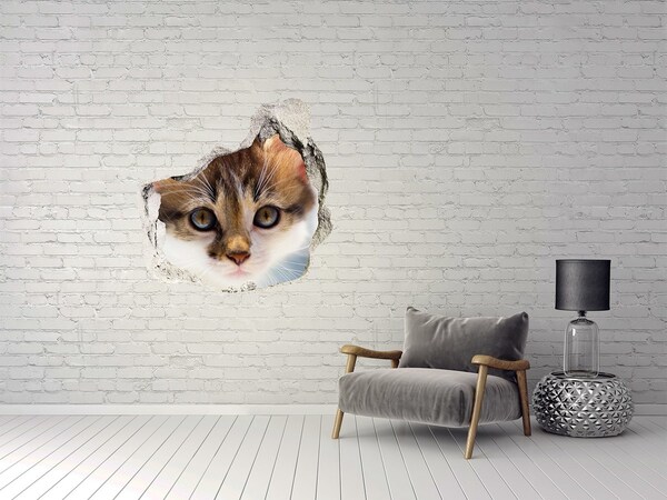 3D Wanddurchbruch Aufkleber Katze in einem Loch in der Wand