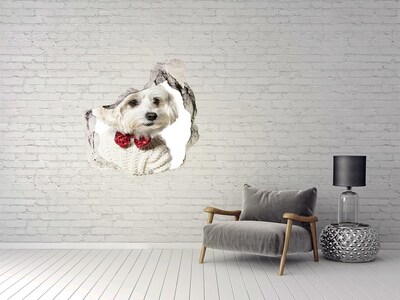 3D Wandtattoos Mauerdurchbruch Hund im Pullover durch ein Loch in der Wand