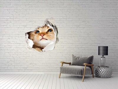 3D Wandtattoos Mauerdurchbruch Katze durch ein Loch in der Wand