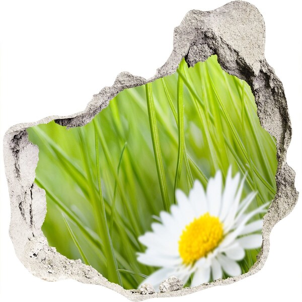 Wandaufkleber Loch 3D Eine Blume in einem grünen Garten