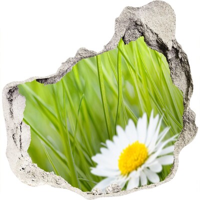 Wandaufkleber Loch 3D Eine Blume in einem grünen Garten