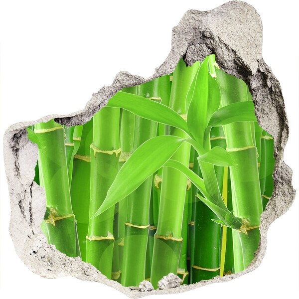 Wandaufkleber Loch 3D Grüner Bambuswald