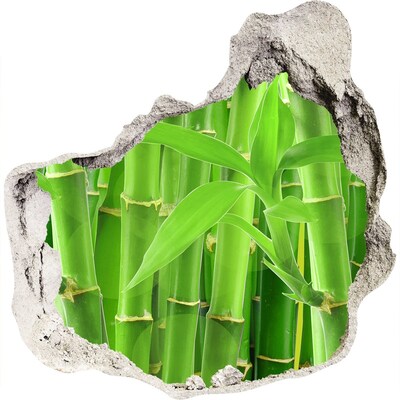 Wandaufkleber Loch 3D Grüner Bambuswald