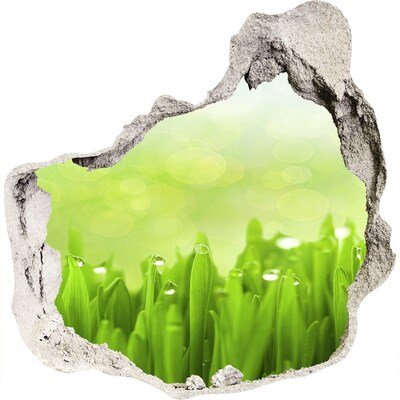 Wandaufkleber Loch 3D Grüne Wiese mit Wassertropfen
