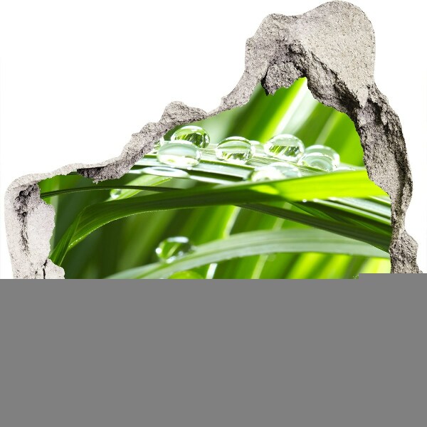 Wandtattoos Loch in der Wand Grüne Wiese mit Wassertropfen