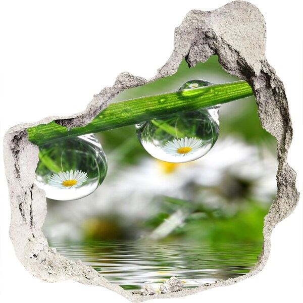 Mauerdurchbruch Aufkleber Blumenoase mit Wassertropfen