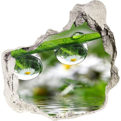 Mauerdurchbruch Aufkleber Blumenoase mit Wassertropfen