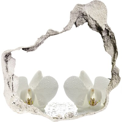 Wandfolien Loch in der Wand Blumen aus Beton