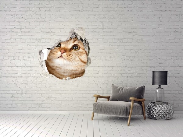 Wandfolien Loch in der Wand Katze in einem Loch in der Wand