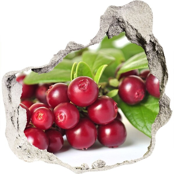 Wandaufkleber Loch 3D Fruity Hole in the Wall