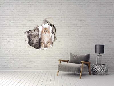 Wandfolien Loch in der Wand Katzen in einem Loch in der Wand