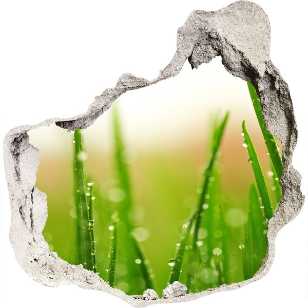 Wandaufkleber Loch 3D Grüne Wiese mit Wassertropfen
