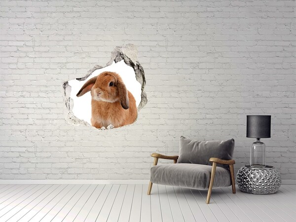 3D Wanddurchbruch Aufkleber Hase in einem Loch in der Wand