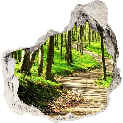 Wandfolien Loch in der Wand Waldweg im Sonnenschein