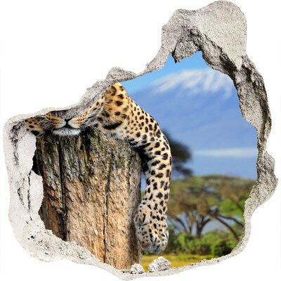 3D Wanddurchbruch Aufkleber Der klebrige Blick eines Leoparden