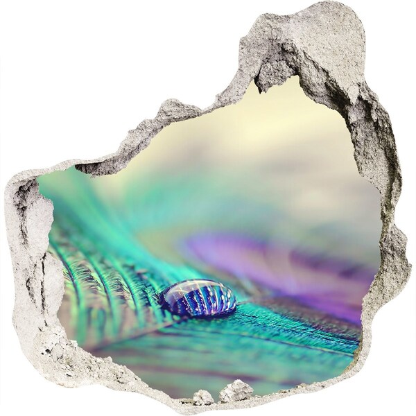 3D Wanddurchbruch Aufkleber Ein Tropfen auf einer Pfauenfeder