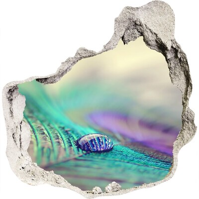 3D Wanddurchbruch Aufkleber Ein Tropfen auf einer Pfauenfeder