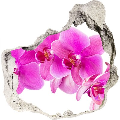 3D Wandtattoos Mauerdurchbruch Orchideenblüten in einem Betonloch