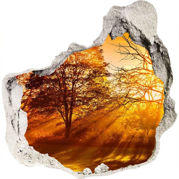 Wandfolien Loch in der Wand Goldene Sonnenstrahlen im Wald