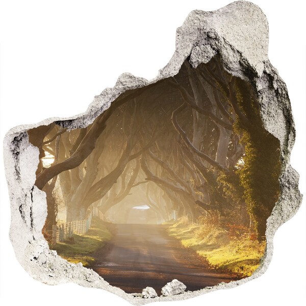 Wandtattoos Loch in der Wand Ein Pfad zwischen den Bäumen