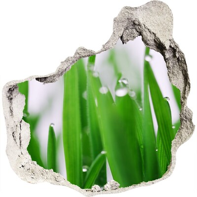 3D Wanddurchbruch Aufkleber Grüne Wiese mit Wassertropfen